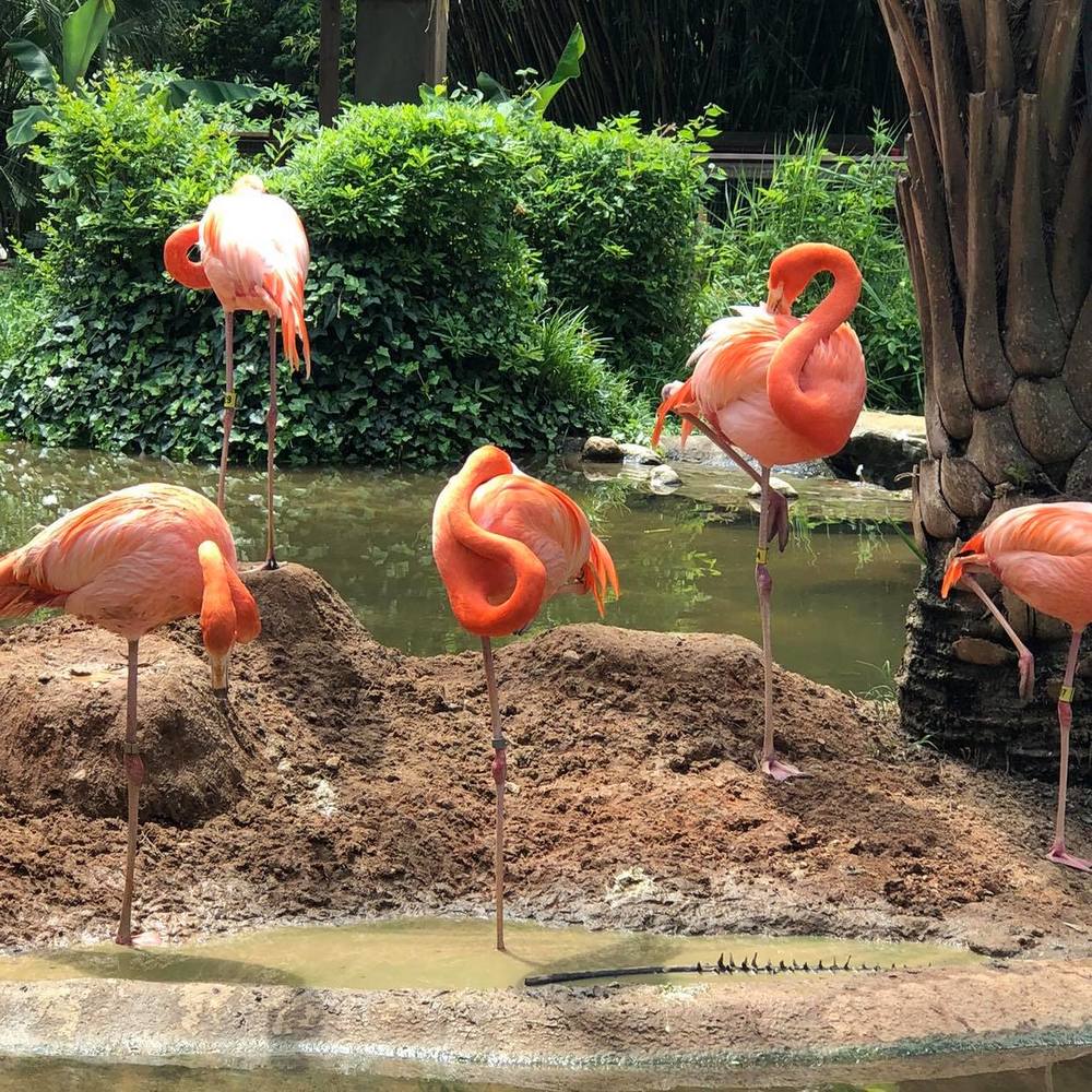 Meet your Posher, Bonnie